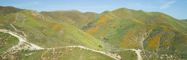 A Closer Look April 2022 Walker Canyon Trail_California_Cons