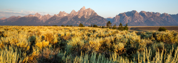 Protecting a Fan Favorite Grand Teton National Park.jpg